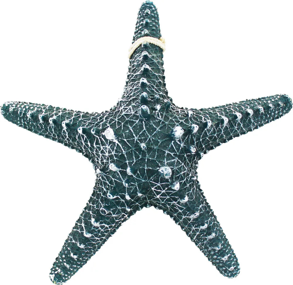Tengeri csillag kék, 30x30x8cm