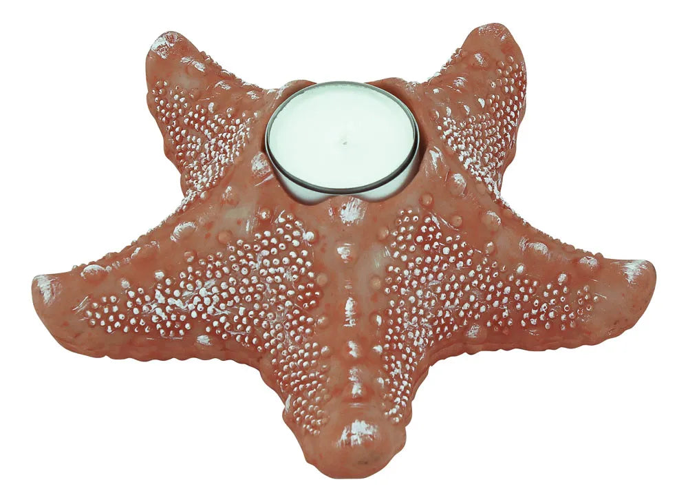 Mécsestartó - Tengeri csillag, polikő, korall, m: 6cm, 17x17cm