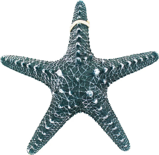 Tengeri csillag kék, 30x30x8cm