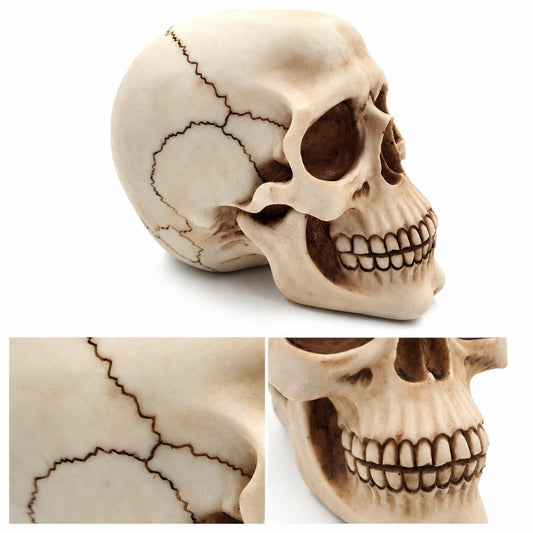 Dekoratív koponya figura