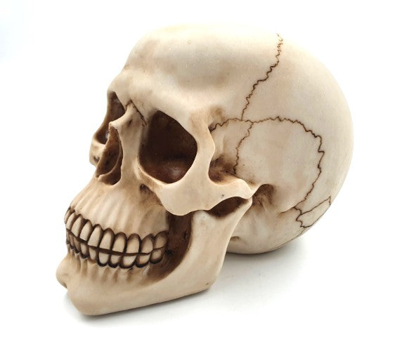 Dekoratív koponya figura
