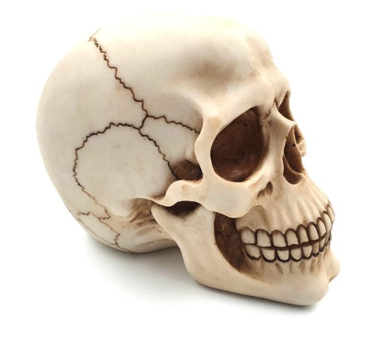 Dekoratív koponya figura