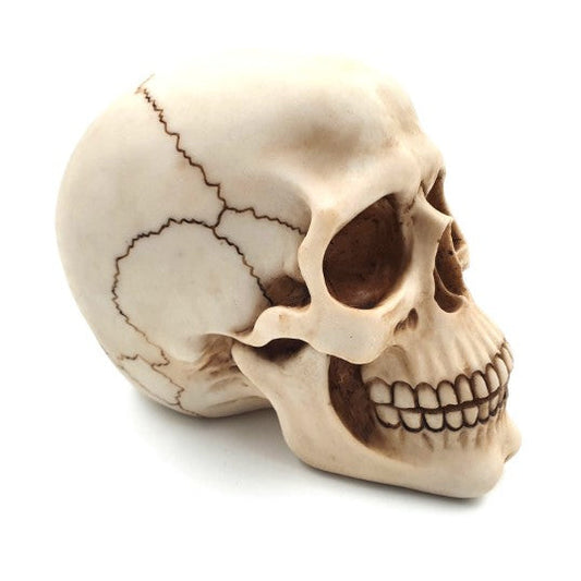 Dekoratív koponya figura