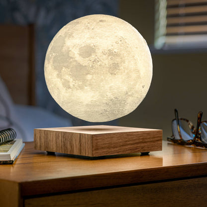 Gingko Smart Hold Lámpa - MODIANO
