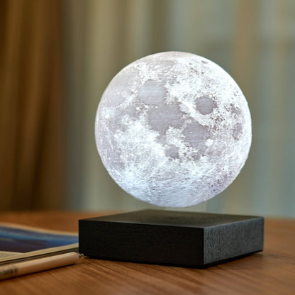 Gingko Smart Hold Lámpa - MODIANO