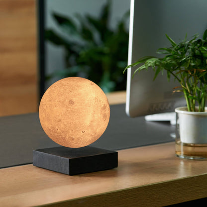 Gingko Smart Hold Lámpa - MODIANO