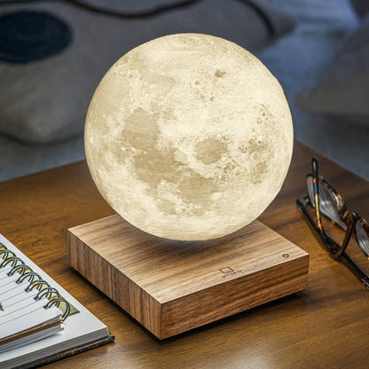 Gingko Smart Hold Lámpa - MODIANO