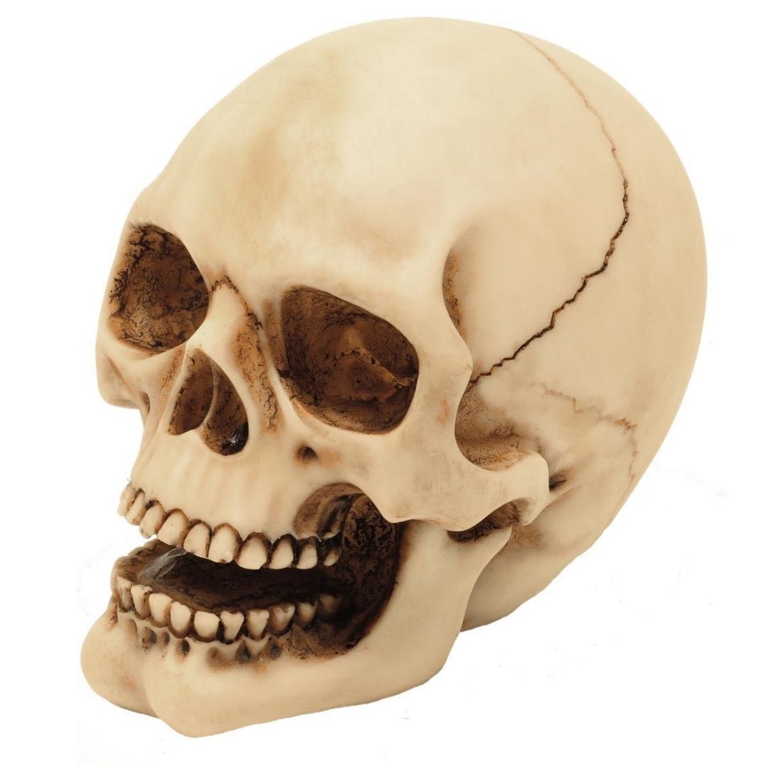 Koponya figura 10cm dekoráció - MODIANO