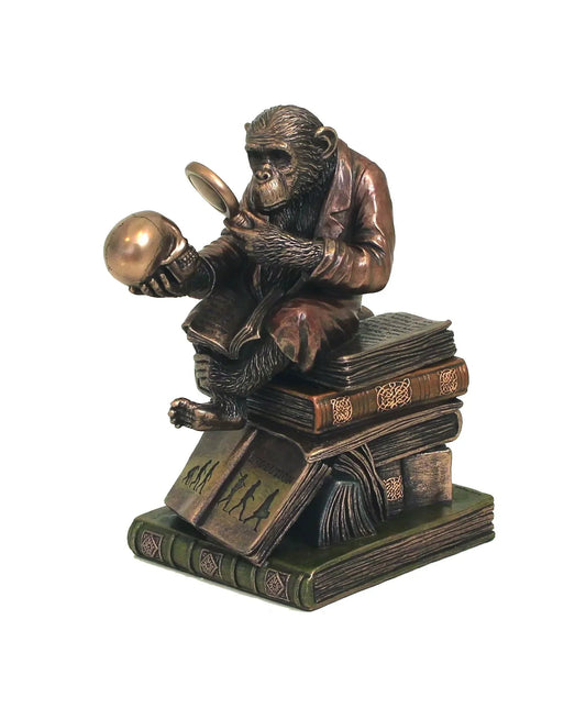 Majom evolúció bronz bevonatú szobor - MODIANO