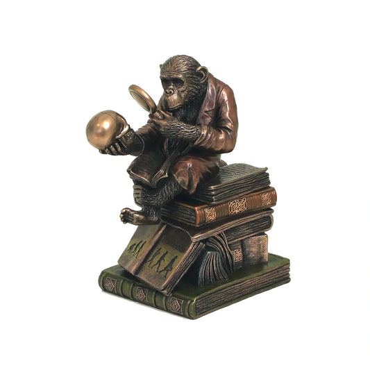 Majom evolúció bronz bevonatú szobor - MODIANO