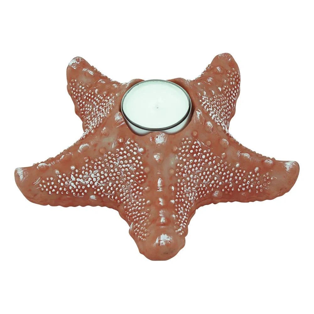 Mécsestartó - Tengeri csillag, polikő, korall, m: 6cm, 17x17cm