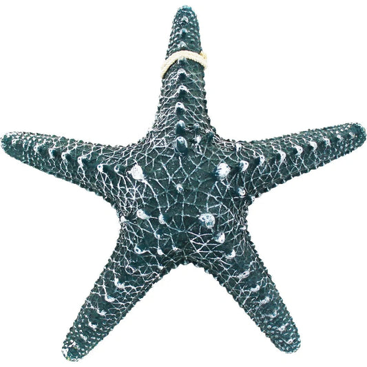 Tengeri csillag kék, 30x30x8cm